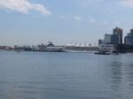 Cruise ship terminal from Stanley park